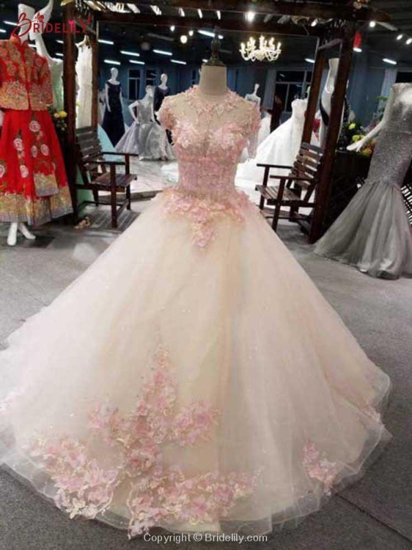 Awesome Appliques Tulle Ball Gown Wedding Dresses