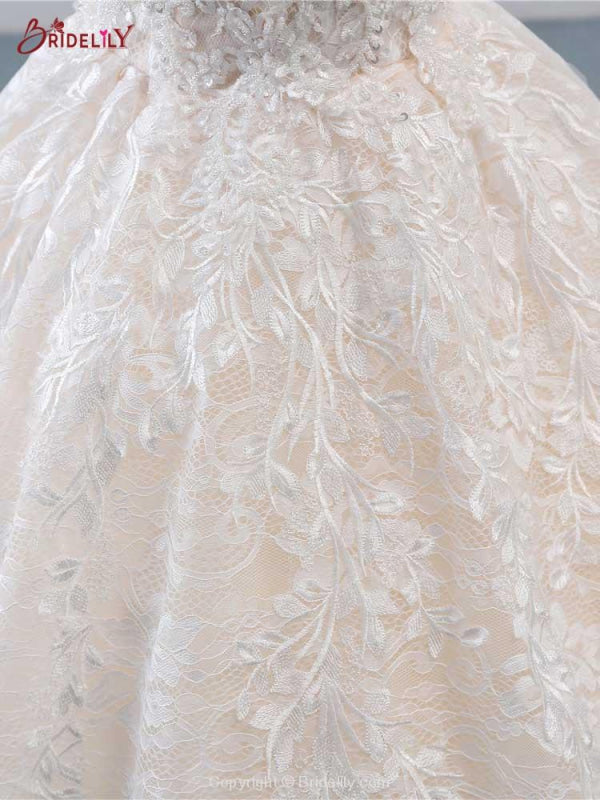 Glamorous Lace Tulle Ball Gown Wedding Dresses
