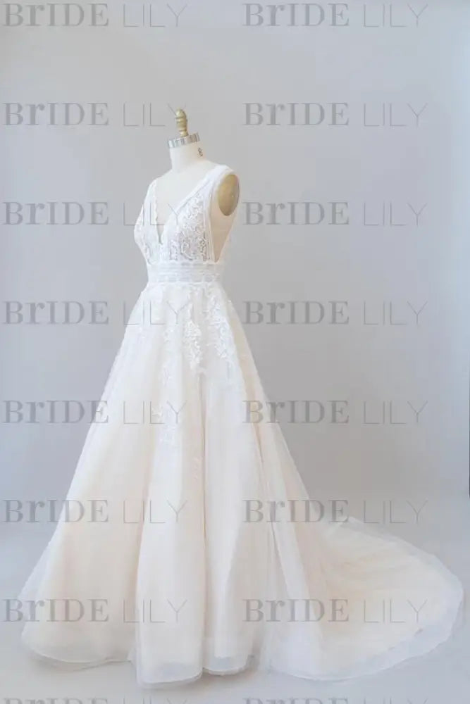 Elegant V-neck Appliques Tulle A-line Wedding Dress Sleeveless