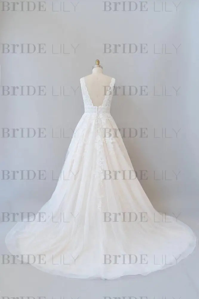 Elegant V-neck Appliques Tulle A-line Wedding Dress Sleeveless