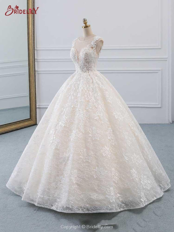 Glamorous Lace Tulle Ball Gown Wedding Dresses