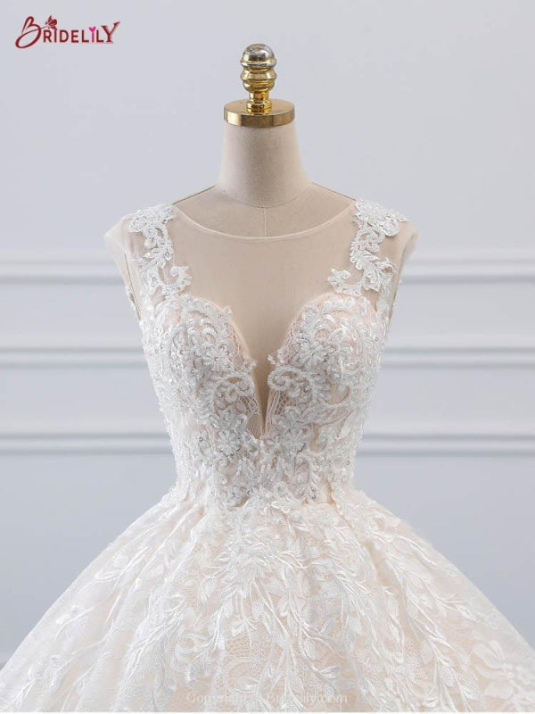 Glamorous Lace Tulle Ball Gown Wedding Dresses