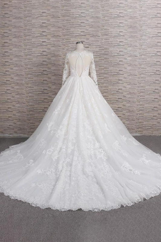 Graceful V-neck Long Sleeve Appliques Wedding Dress