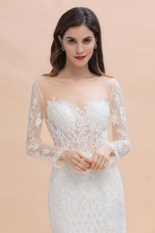 Mermaid Lace Long Sleeve Sheer Tulle Wedding Dresses With Detachable Train