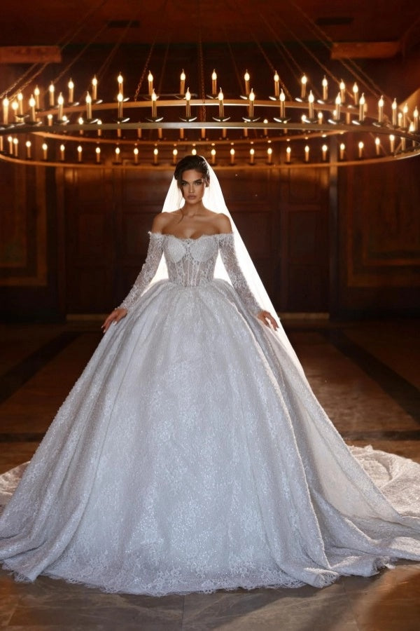 Gorgeous Tulle Aline Wedding Dress Off-the-Shoulder with Long Sleeves