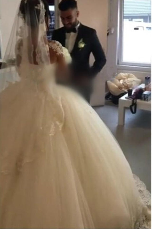 Pretty Sheer Long Sleeves Ivory Lace Appliques Wedding Dress