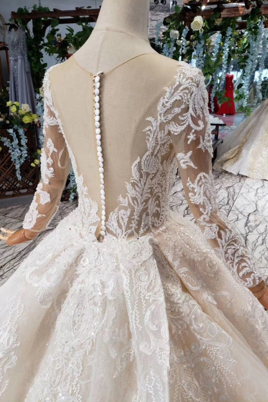 Princess Sleeves Sheer Neck Ball Gown Lace Long Wedding Dress