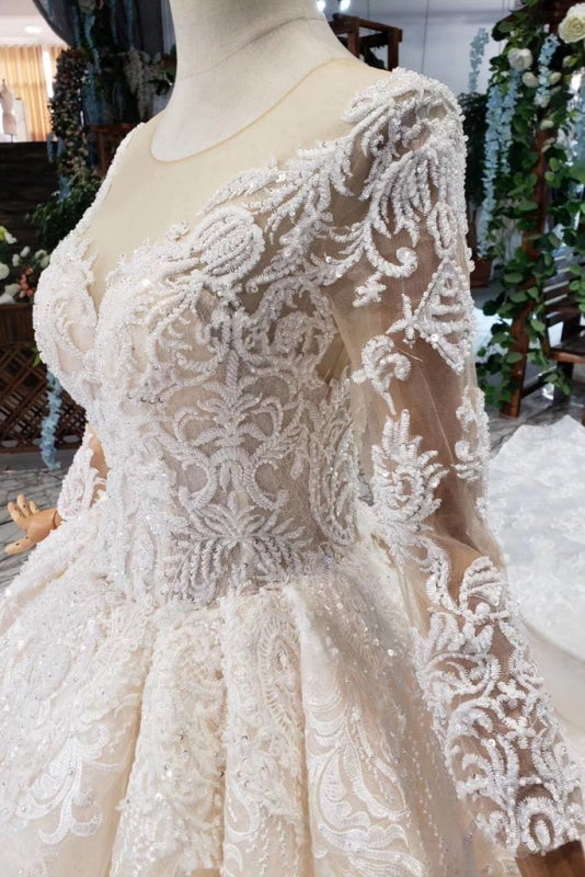 Princess Sleeves Sheer Neck Ball Gown Lace Long Wedding Dress