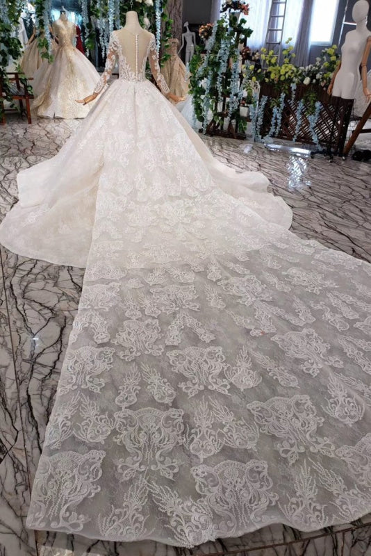 Princess Sleeves Sheer Neck Ball Gown Lace Long Wedding Dress