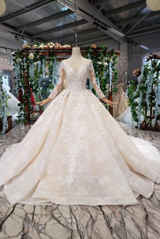 Princess Sleeves Sheer Neck Ball Gown Lace Long Wedding Dress