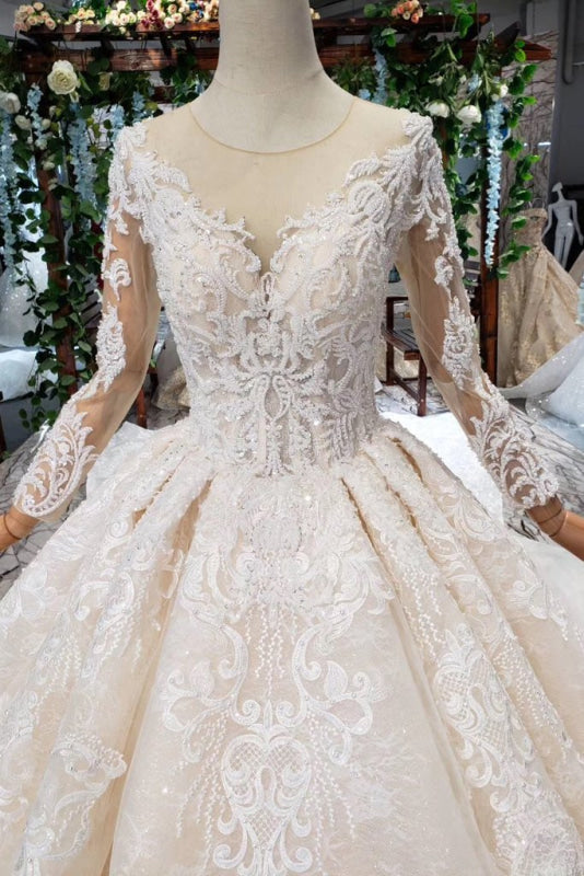 Princess Sleeves Sheer Neck Ball Gown Lace Long Wedding Dress