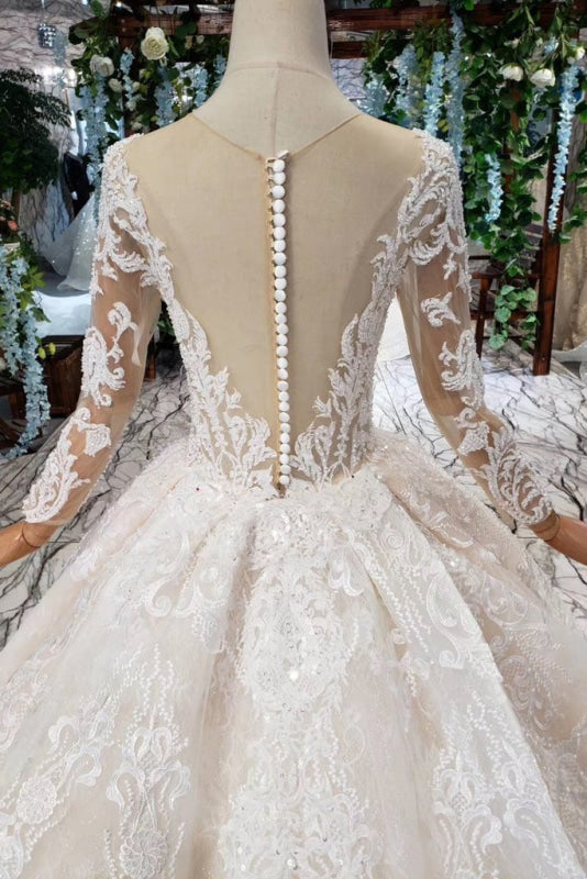 Princess Sleeves Sheer Neck Ball Gown Lace Long Wedding Dress