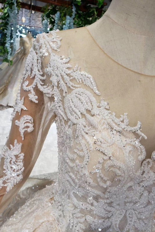 Princess Sleeves Sheer Neck Ball Gown Lace Long Wedding Dress