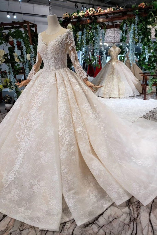 Princess Sleeves Sheer Neck Ball Gown Lace Long Wedding Dress