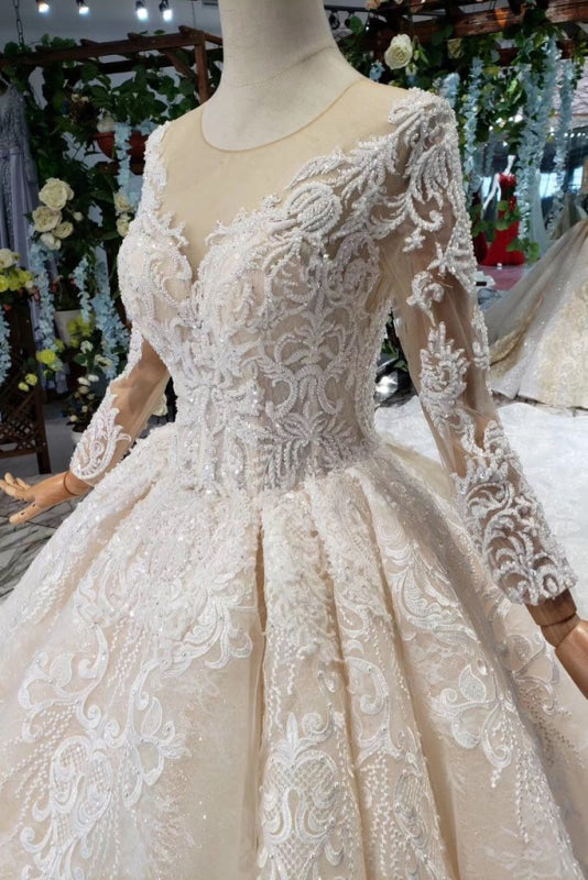 Princess Sleeves Sheer Neck Ball Gown Lace Long Wedding Dress
