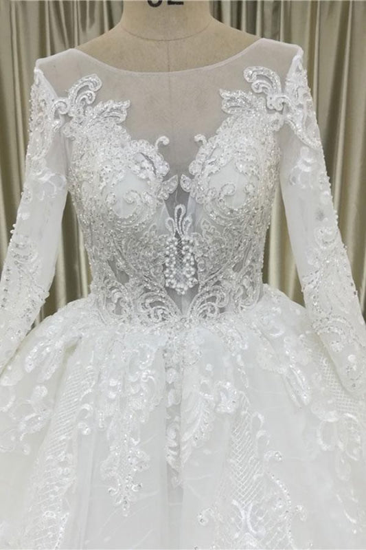 Vintage Appliques Long Sleeve Tulle Wedding Dress