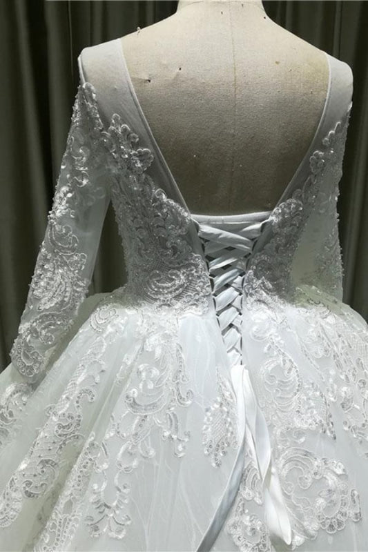 Vintage Appliques Long Sleeve Tulle Wedding Dress
