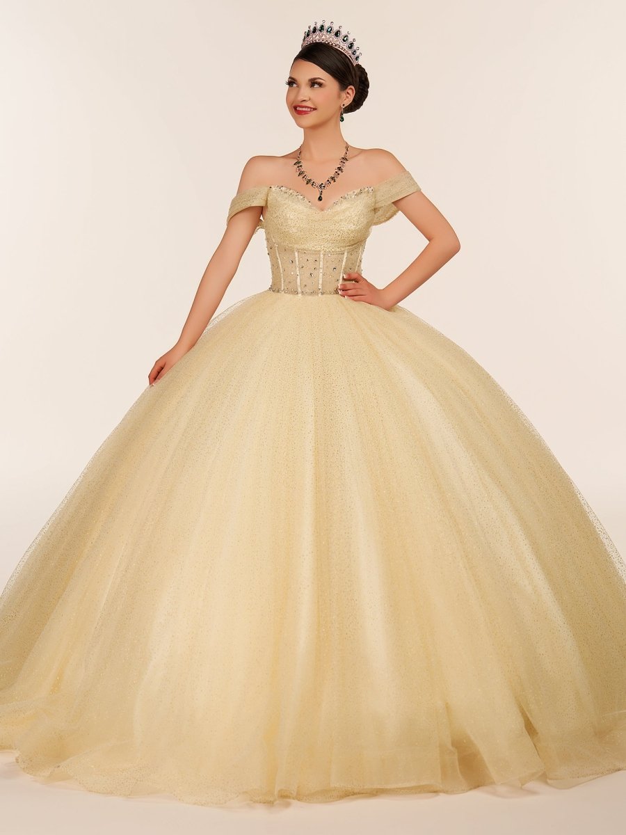 Yellow Ball Gown Tulle Off-the-Shoulder Quincenara Dresses